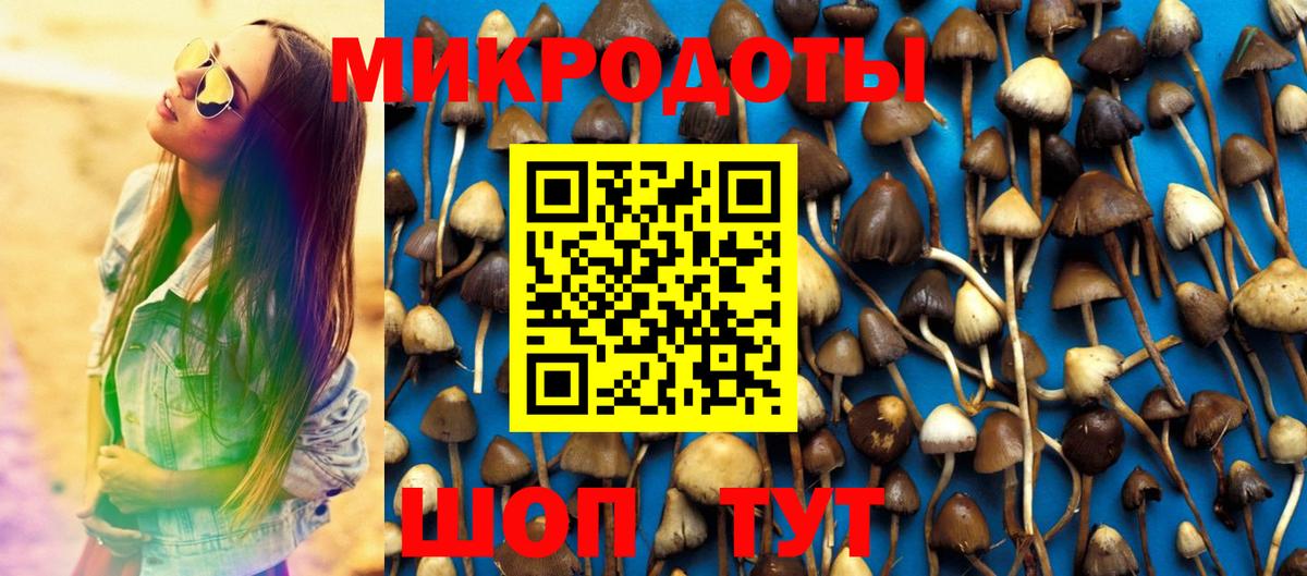 Галлюциногенные грибы GOLDEN TEACHER  Вход с VPN  Минеральные Воды 